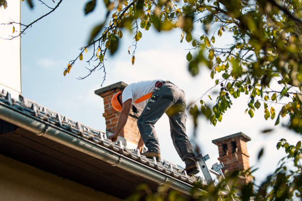 Best Roof Repair Services  in Beverly, OH